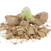 Dinosaur Fossil Egg In Bulk